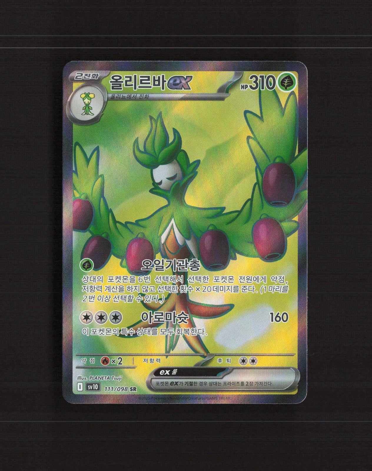 Arboliva EX #111 Pokemon Korean Glory Of Team Rocket