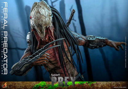 Prey TMS114 Feral Predator 1/6th Scale Collectible Figure