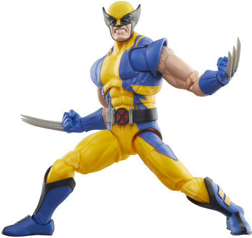 Hasbro Collectibles - Marvel Legends - Wolverine (Marvel 85th Anniversary)