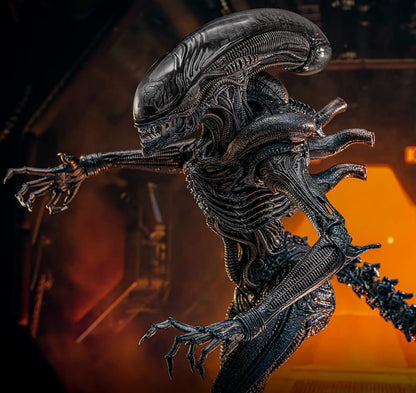 Alien: Romulus MMS784 Scorched Xenomorph 1/6th Scale Collectible Figure