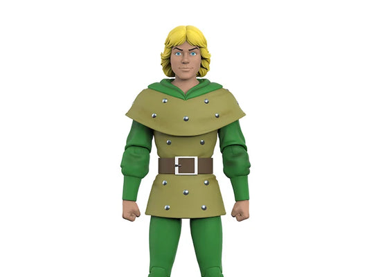 Dungeons & Dragons ULTIMATES! Hank the Ranger
