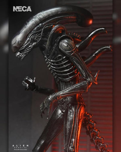 Alien: Romulus Ultimate Xenomorph XX121 Action Figure