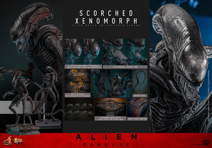 Alien: Romulus MMS784 Scorched Xenomorph 1/6th Scale Collectible Figure