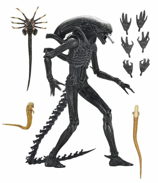 Alien: Romulus Ultimate Xenomorph XX121 Action Figure