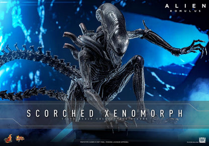 Alien: Romulus MMS784 Scorched Xenomorph 1/6th Scale Collectible Figure